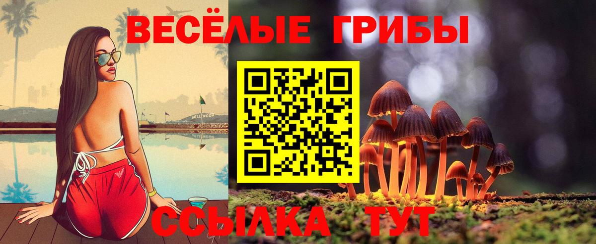 Псилоцибиновые грибы GOLDEN TEACHER Кимовск